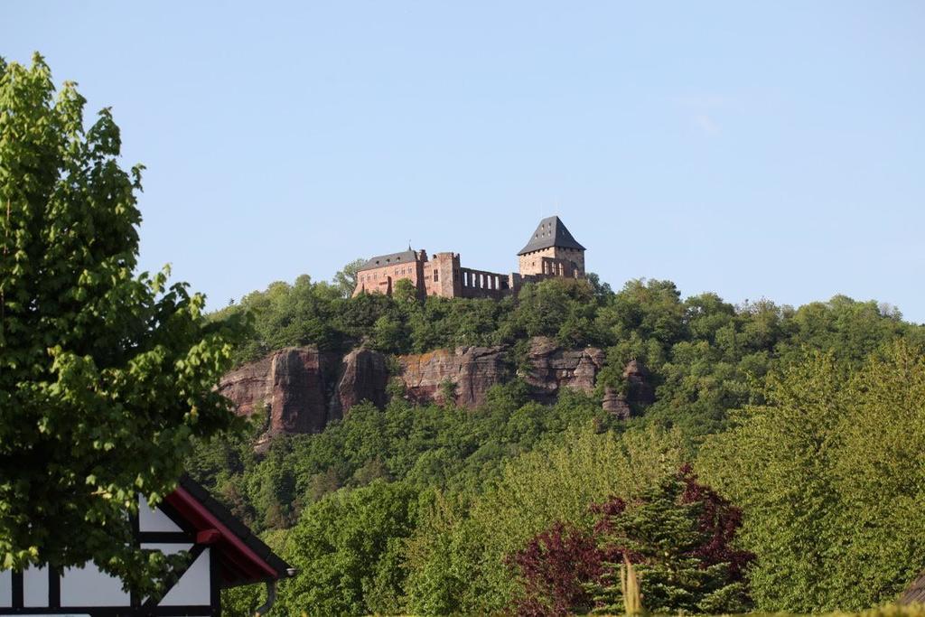 Bos En Kasteel Lägenhet Nideggen Rum bild