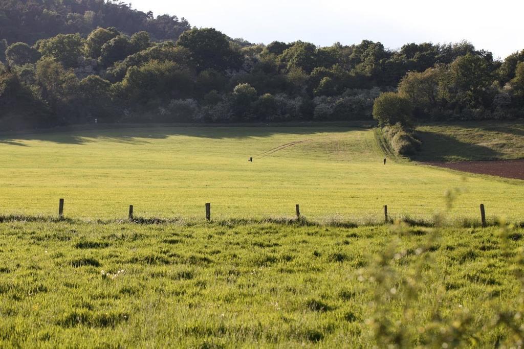 Bos En Kasteel Lägenhet Nideggen Exteriör bild