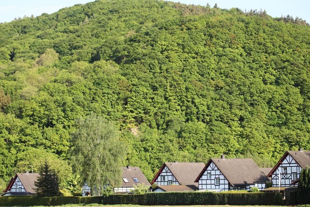 Bos En Kasteel Lägenhet Nideggen Exteriör bild