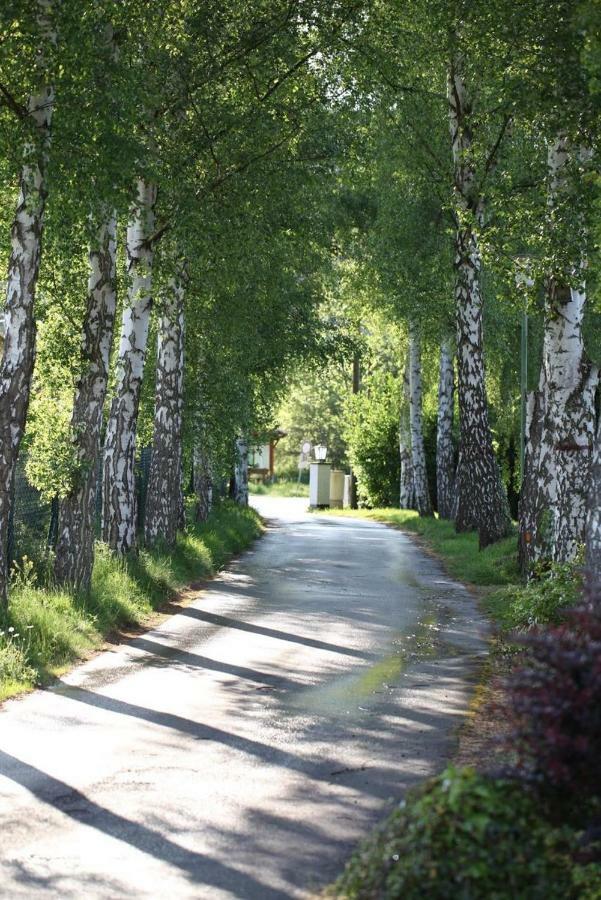 Bos En Kasteel Lägenhet Nideggen Exteriör bild